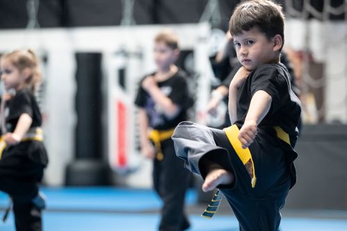 Kids Martial Arts Techniques